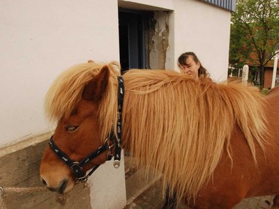 DSC 8087