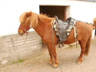 DSC 8098