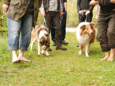 DSC 7328