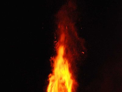 DSC 9296