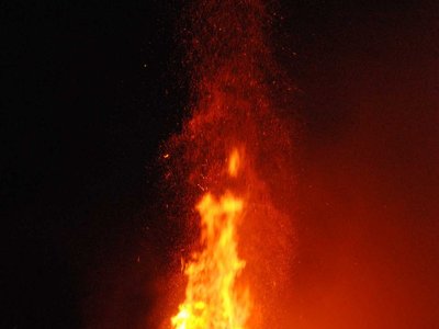 DSC 9300